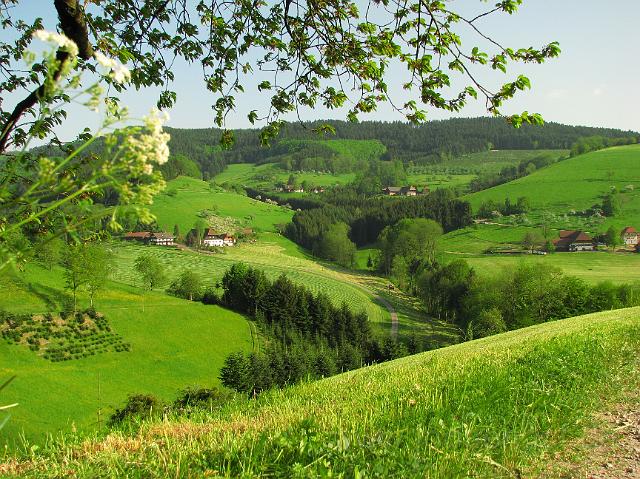 Blick gegen Talschluss Oberentersbach.JPG